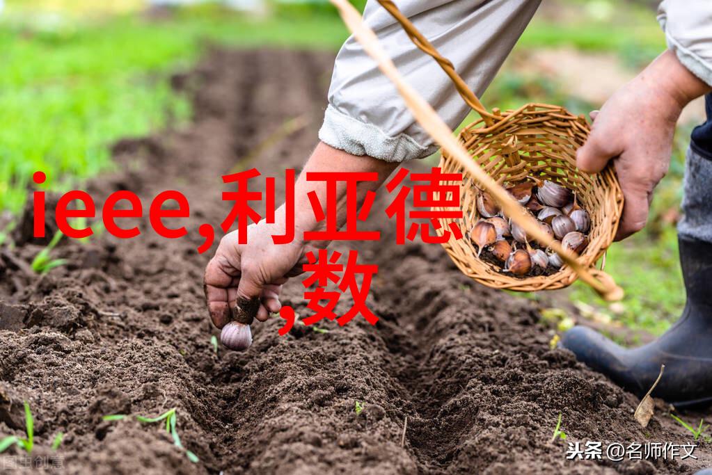 水净化之道清流再现的技艺