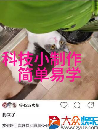 家居装修顺序房屋整体设计与功能性布局
