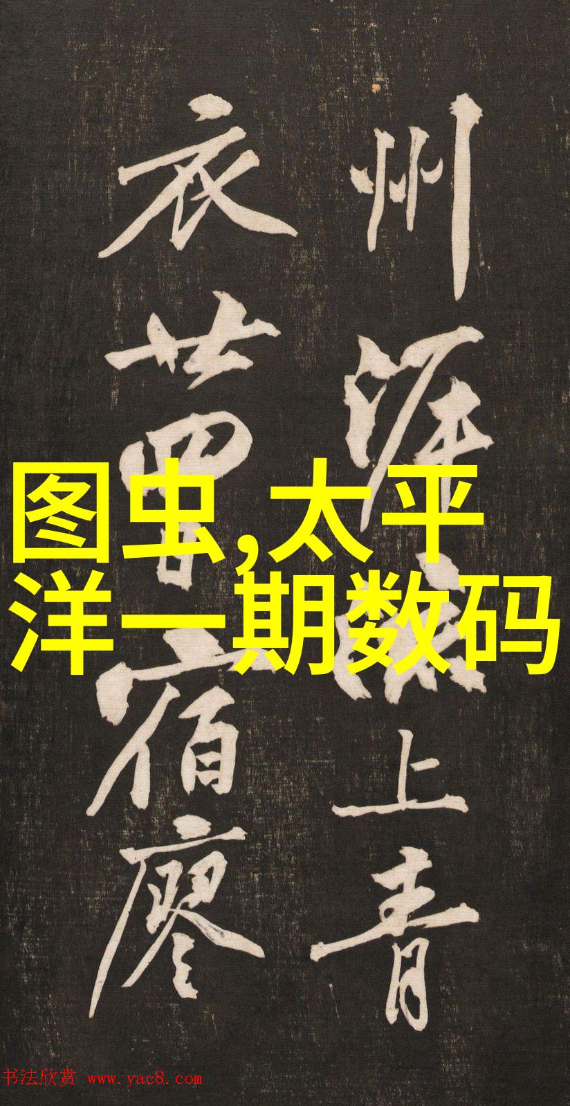 学长的棒子背后的故事与启示