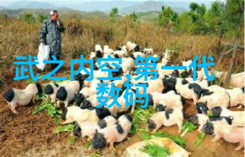 绿意盎然的庭院如何选择适合您家的植物