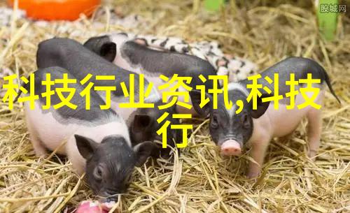 家庭生活困难申请书我该如何开启这段心路历程