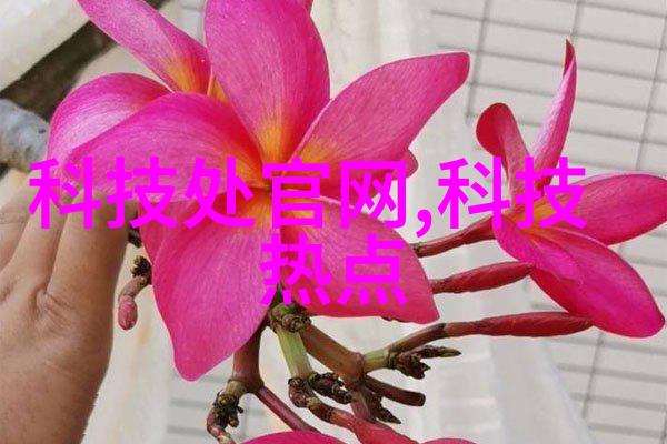 文学阅读-沉默的爱甄珠全文阅读探秘
