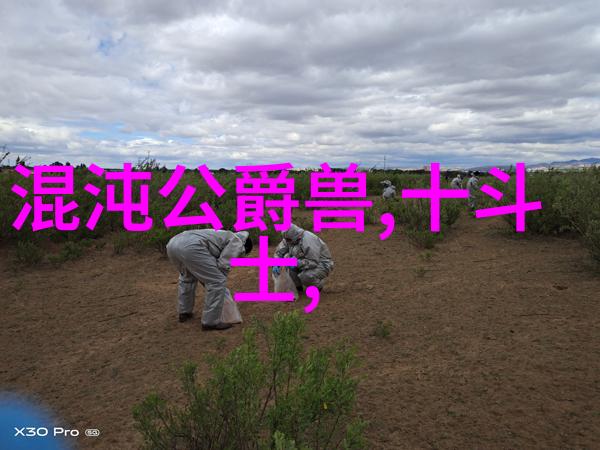 纯化水制备设备全解析从滤膜到净化系统了解每种关键组件