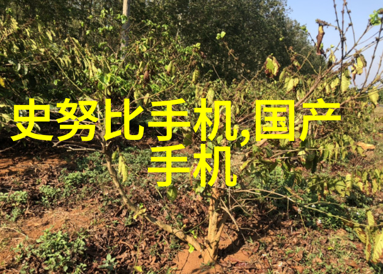 家居装修-精彩变革如何通过喷漆水帘柜提升空间气质