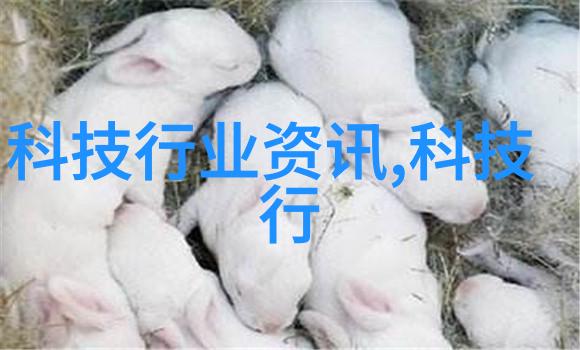 湘潭家居美化揭秘最佳装修公司排行榜