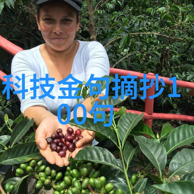 tds计数器与正常水质范围一探究竟