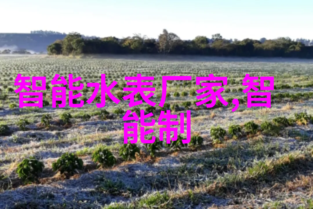 姜可TXT番外免费阅读笔趣阁-爱与梦的边界姜可番外篇