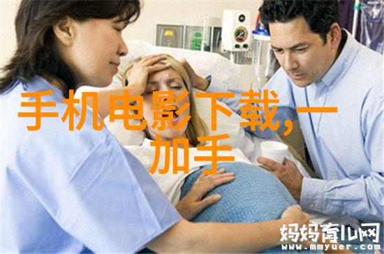 特斯拉在中国市场份额下滑却对Model Y涨价智驾市场竞争加剧