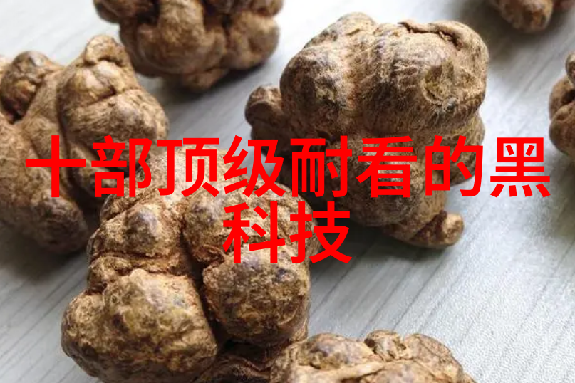逆止器科技之锚守护未来安全