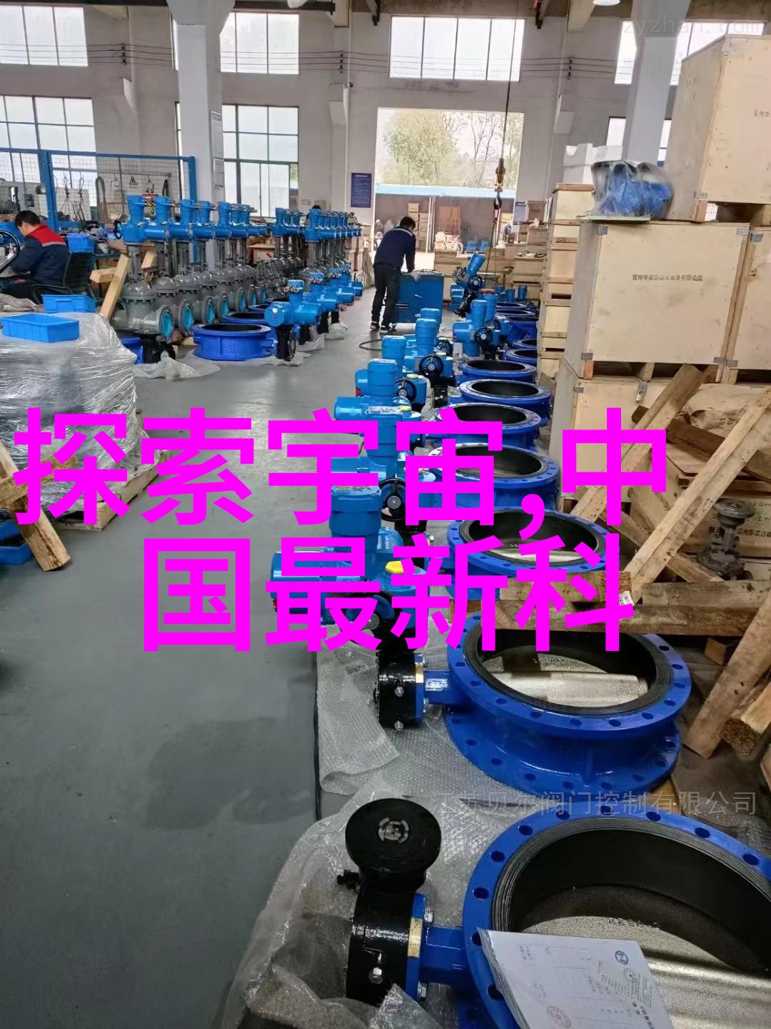 岳两片蚌肉缓缓张开生动的海洋意象