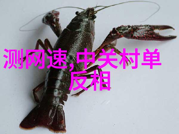 PVC管材型号与口径大全选择合适的管材规格指南