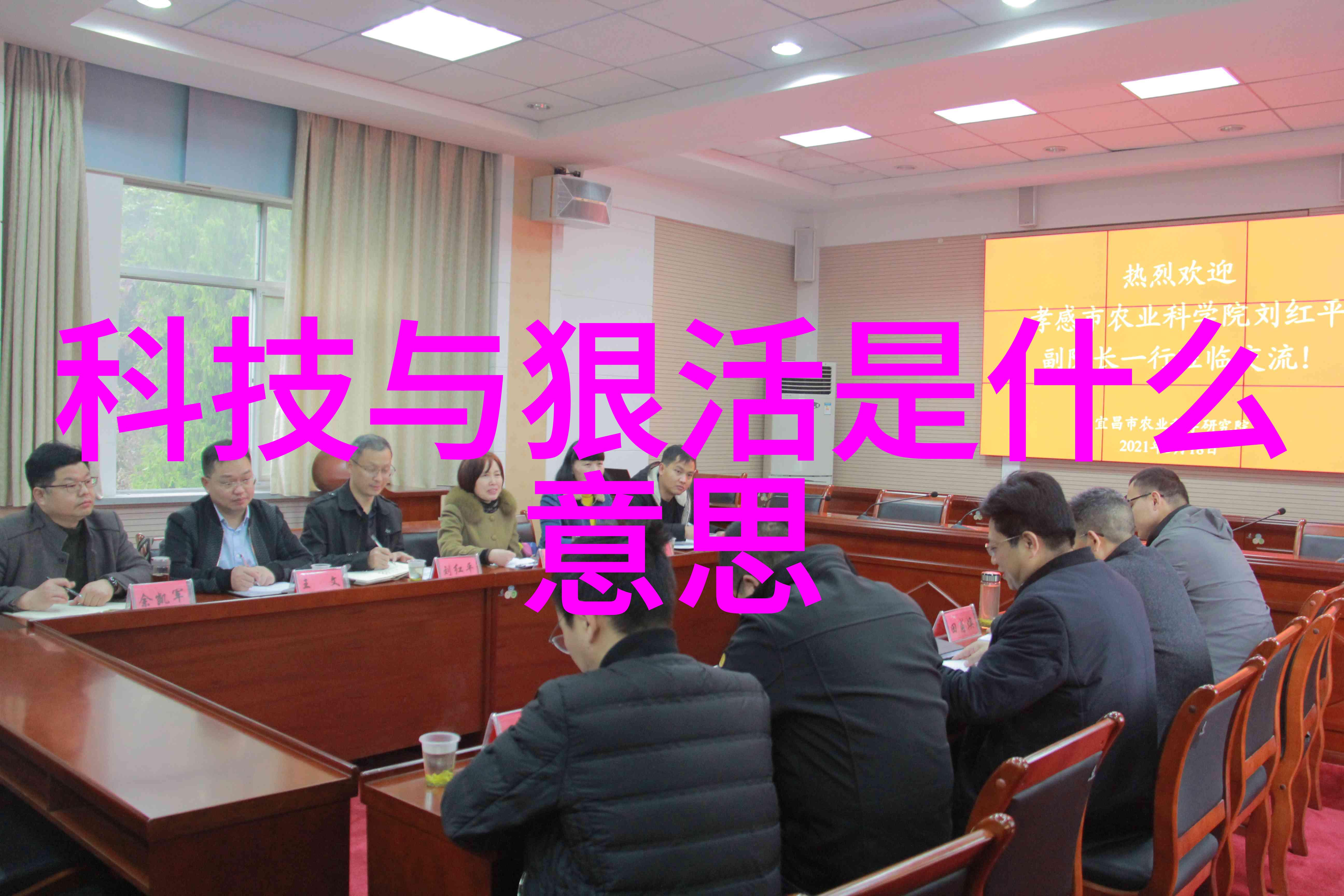 布袋除尘器的布袋厂家揭开沉默的秘密穿越迷雾寻找真相