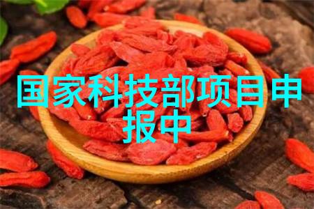 高效冷藏技术的应用与未来发展趋势