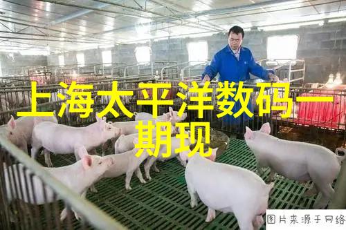 蒸汽奇迹无尽能量的源泉