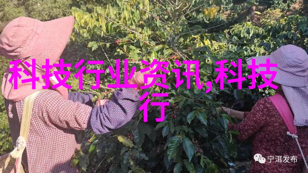 理解固液分离机操作流程一步步解析其工作方式