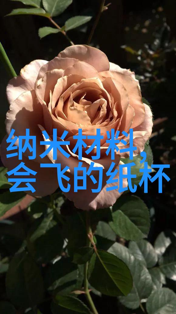 王者之遇皇家血脉的交汇