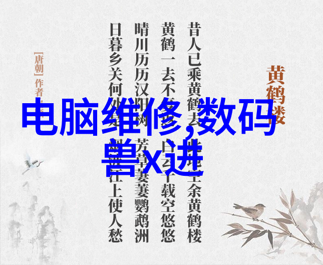 青春的最后一课追忆与重生