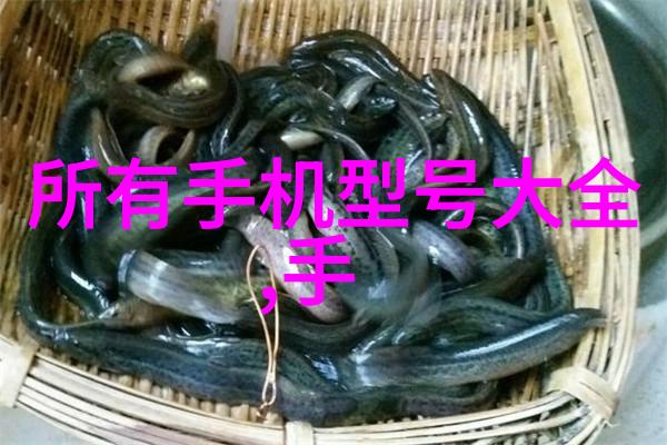 高中时光的点滴GH阅读与小诗的成长日记