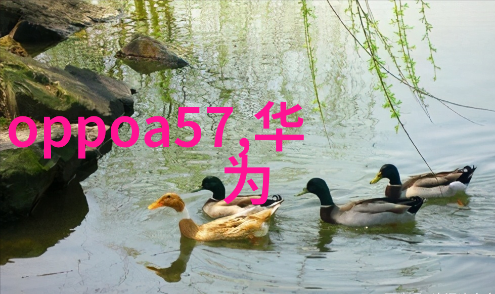 超大规模净化水源设备系统