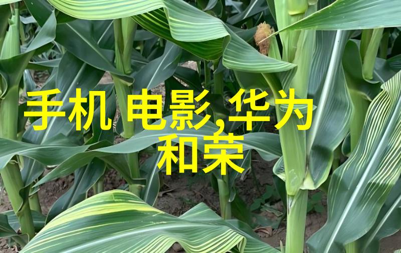 皮肤光滑美丽的秘诀t型波纹填料自然提升面部轮廓