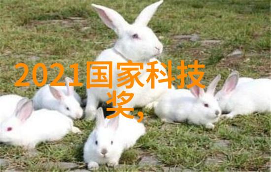 实验室净化水的守护者与污染的征服者