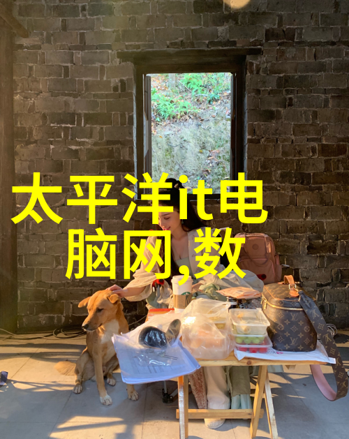 离心风机4-72型高效能的旋转巨擎