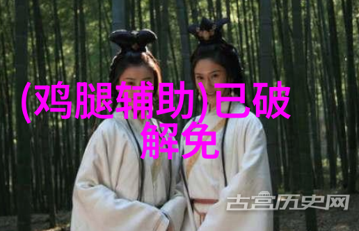 丝网规整填料型号精选提升工艺效率的关键选择