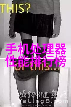 山城学府从川渝的信息高地到全球的技术探索