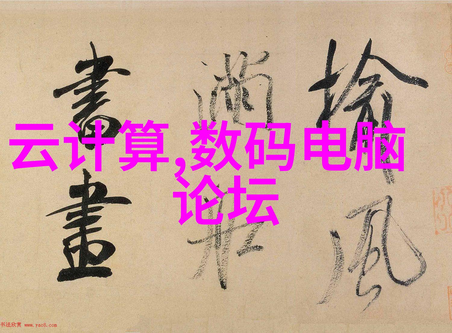 从荒凉到温馨毛坯房装修的完整指南