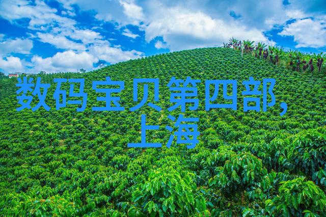 上海装修设计公司古典与现代的激情交响