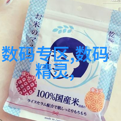 大学生项目可行性报告撰写技巧大学生项目管理策略