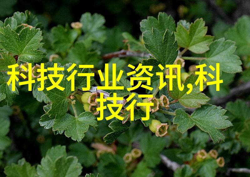 潍坊儿童拍完写真身上起红点