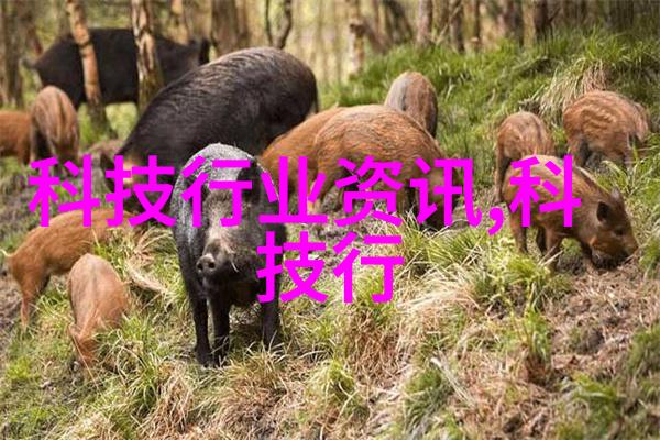 水质检测标准指南US CM值的科学解读与应用