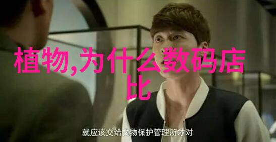 装饰风格多样化时如何让装修设计师理解并满足我的独特口味