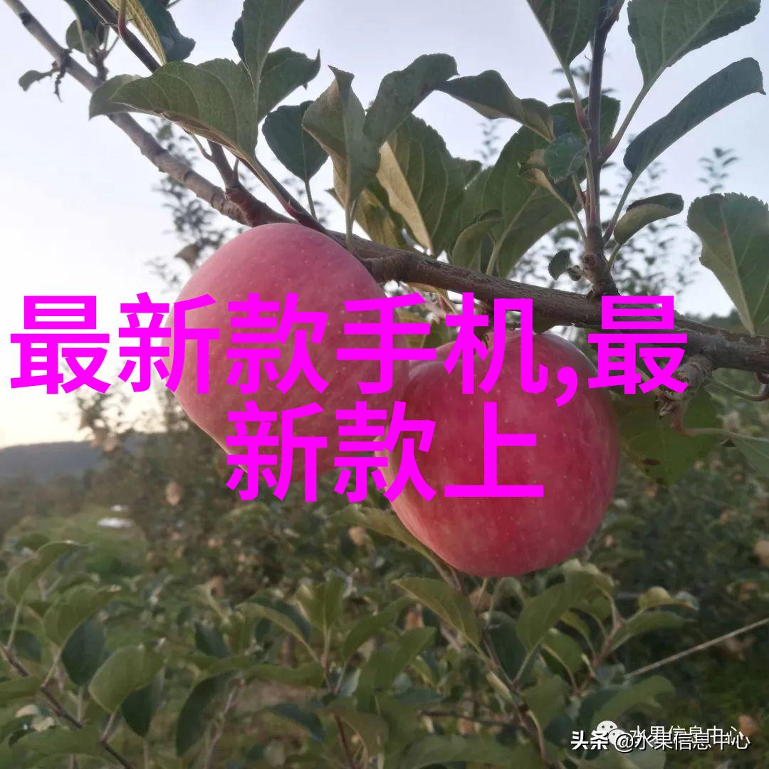 欧式家居美学古典韵味的现代诠释