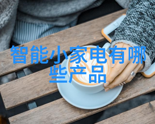 DN50金属环矩鞍填料系统设计与安装指南