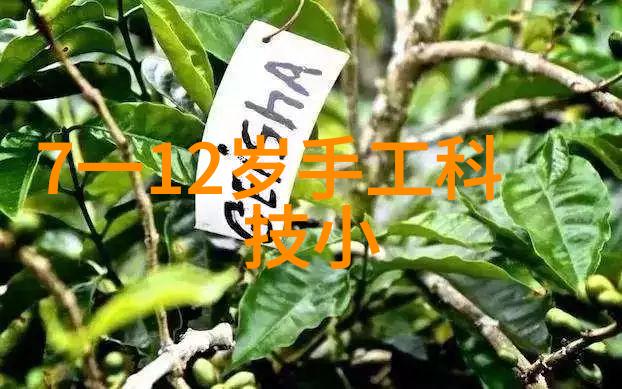 化学设备实验室中的魔法工艺师