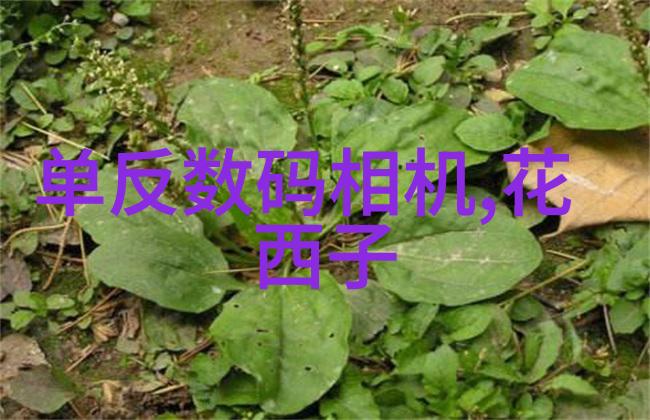 在不同气候条件下轴流通风机会有哪些适应策略