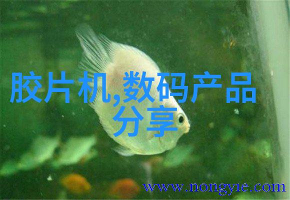 不锈钢深加工技术与应用的发展趋势