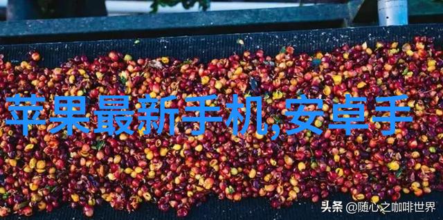 广东科学技术职业学院培育科技创新人才的殿堂