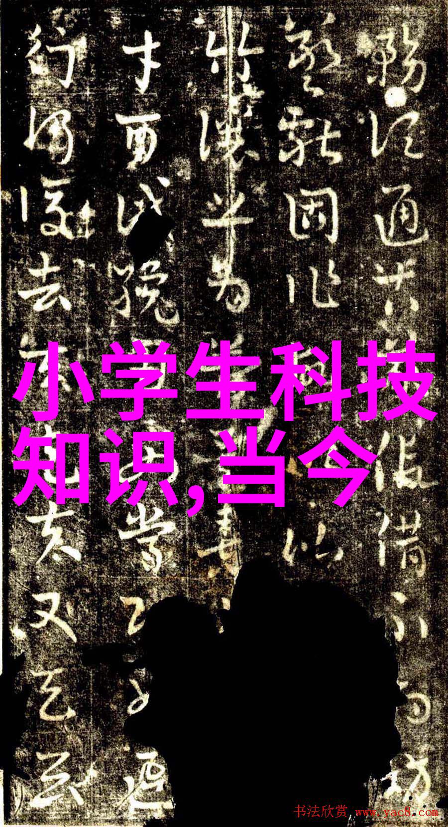 施工组织规划精细化项目管理