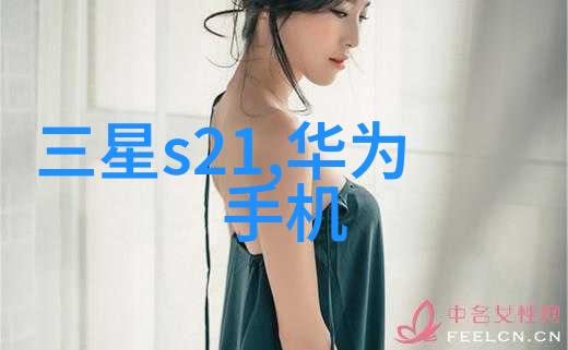 电热蒸汽发生器高效温控技术的精髓