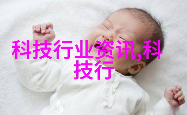 重塑碎片粉碎设备的创新应用与未来前景