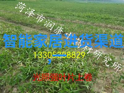 水电安装报价单明细表我的家庭用电小结