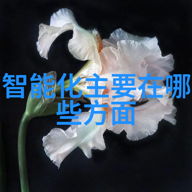 深渊中的旋转煤炭分选机的秘密