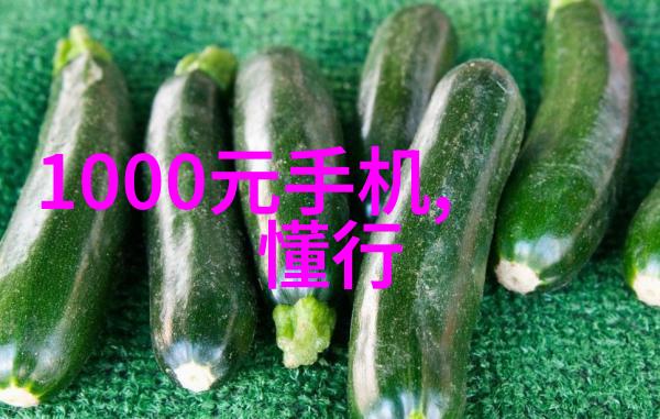 防腐材料我是如何在家里解决木材变质问题的