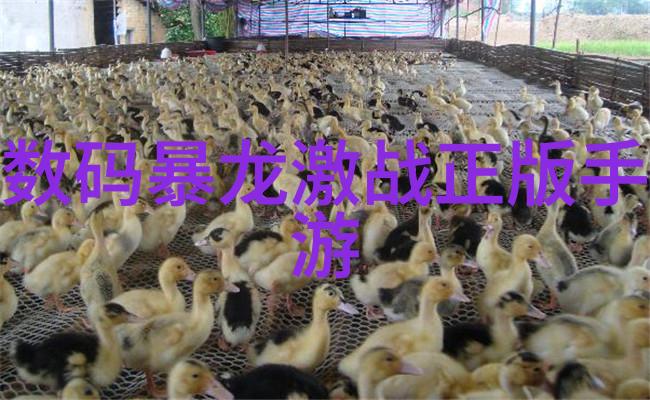 家居美化一楼卫生间温馨装饰效果图解析