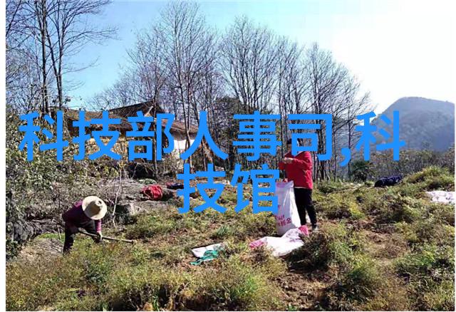 市盈率为何成为分析上证红利510880价值的重要指标