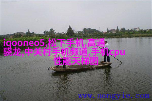 “鲁豫恋”河南癌症女孩与山东小伙拍婚纱照