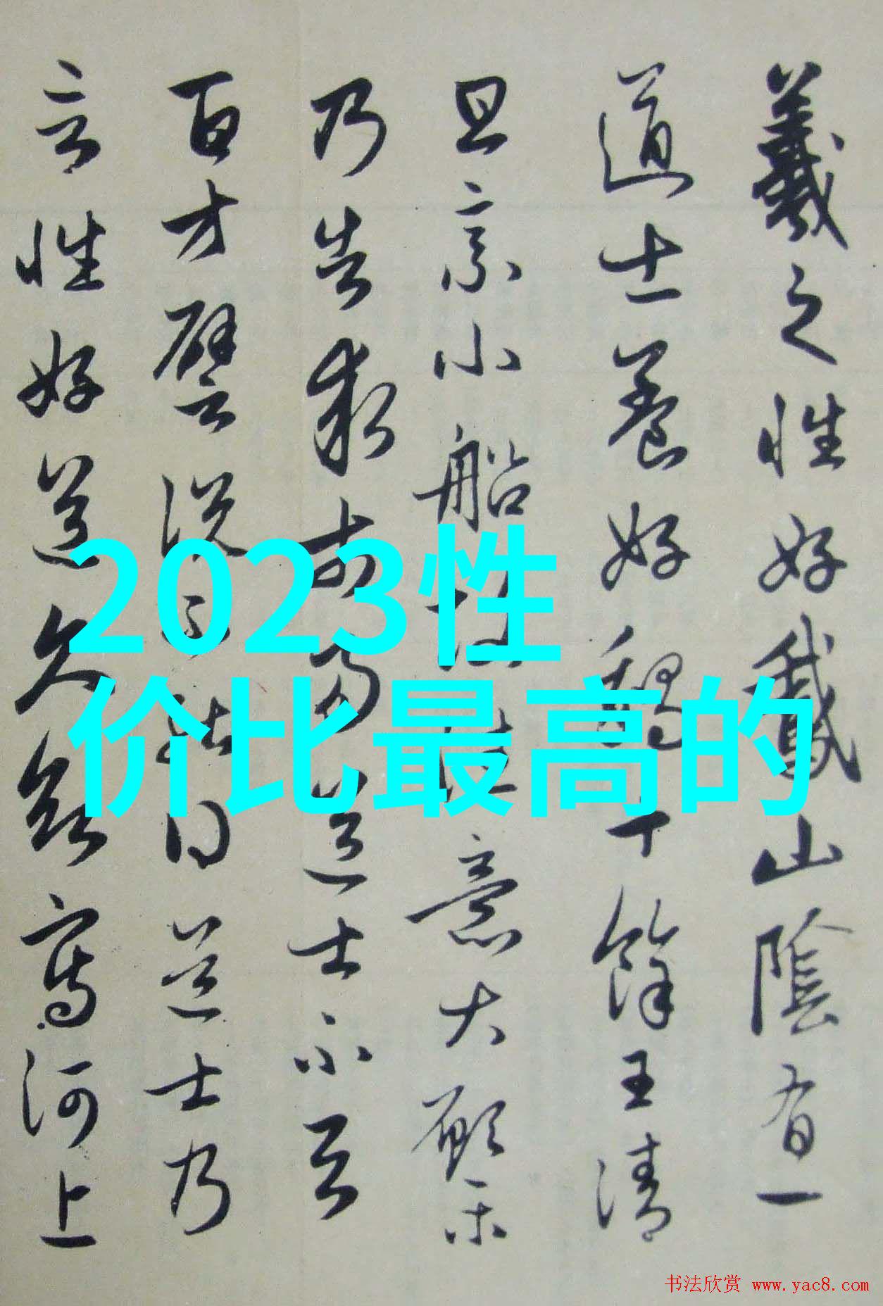 圣罗兰包时尚界的奢华包袋